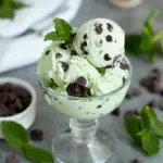 Mint Chocolate Chip Ice Cream Recipe
